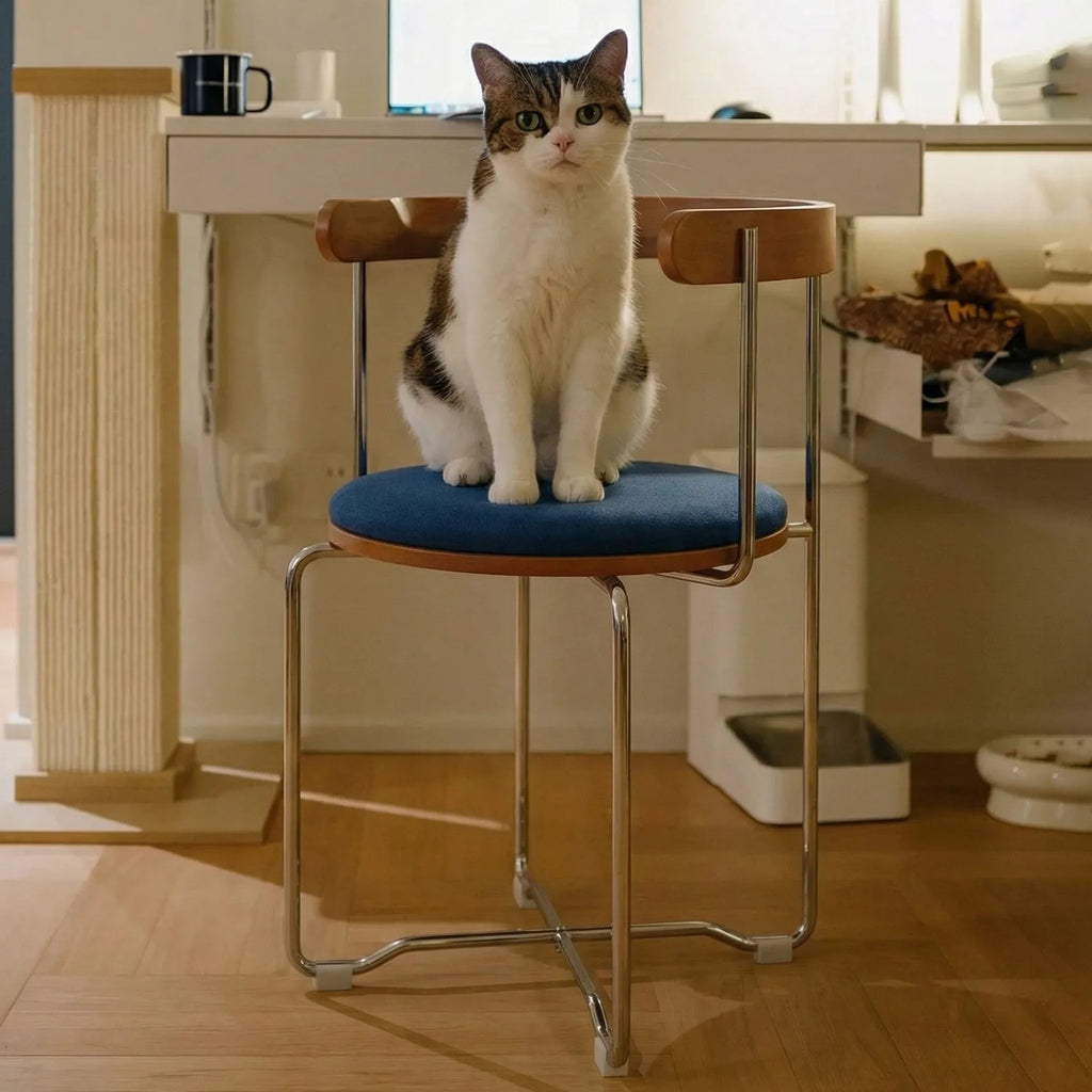 Houseguest Folding Chair